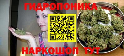 ешки Братск