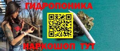 ПСИЛОЦИБИНОВЫЕ ГРИБЫ Владимир