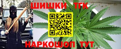 стаф Брянск