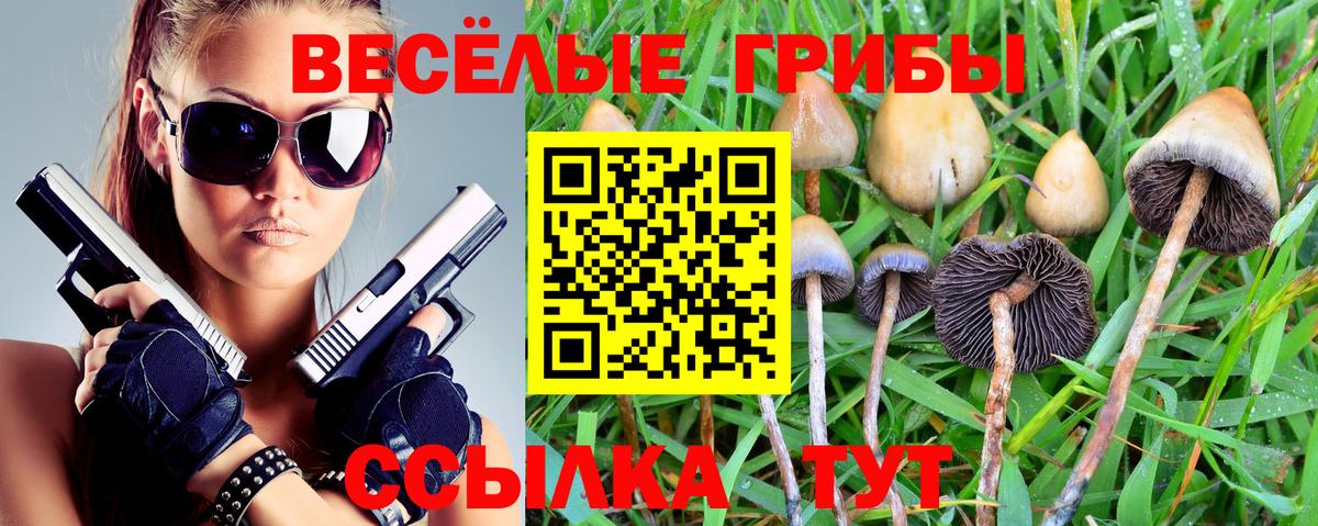 Воткинск  Псилоцибиновые грибы Magic Shrooms  Вход с VPN 